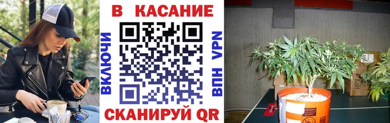 Купить наркоту Маркс Конопля  СК  ГАШИШ 