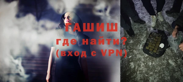 спиды Богородицк
