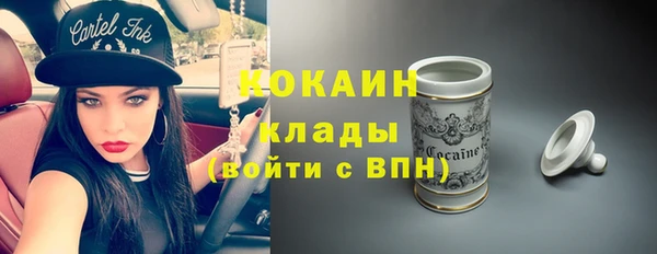 спиды Богородицк