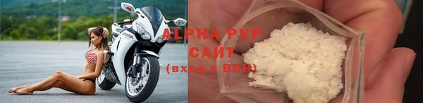 спиды Богородицк
