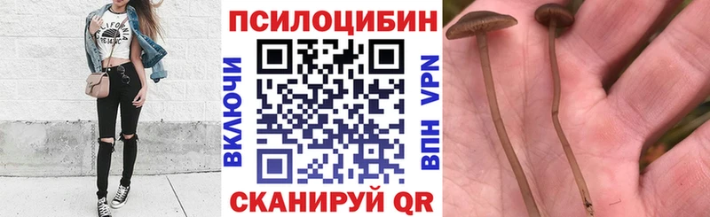 mega маркетплейс  Маркс  Псилоцибиновые грибы GOLDEN TEACHER 